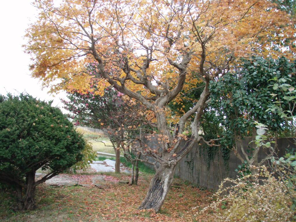 ננאו Guesthouse Hokkai מראה חיצוני תמונה
