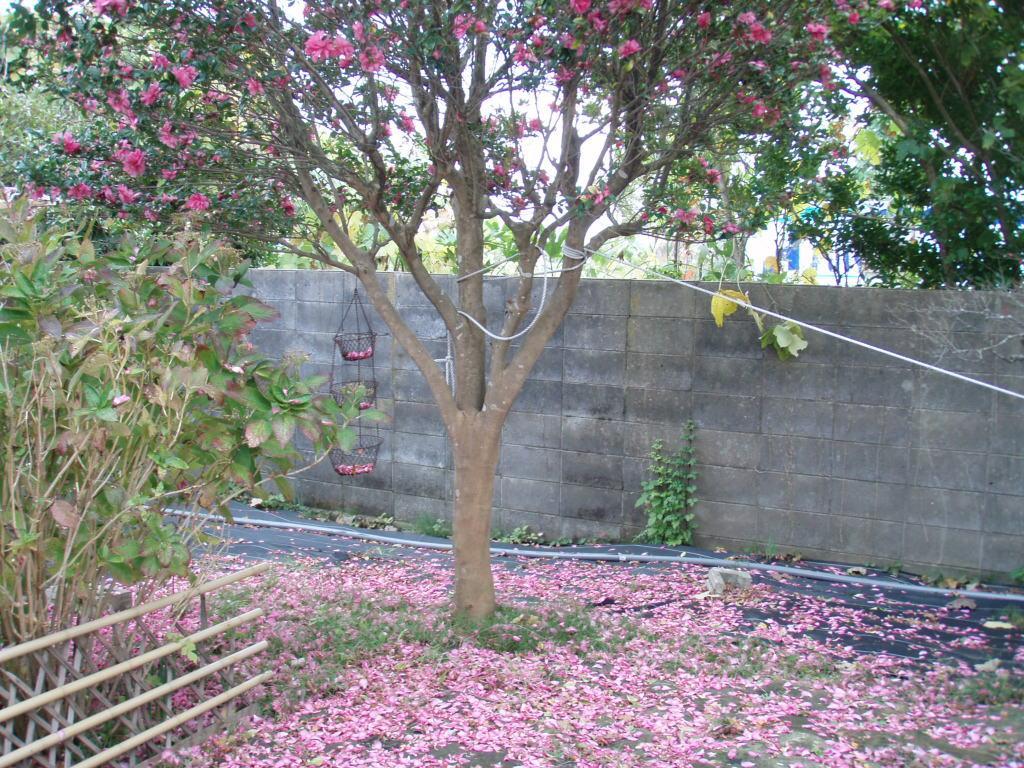 ננאו Guesthouse Hokkai מראה חיצוני תמונה